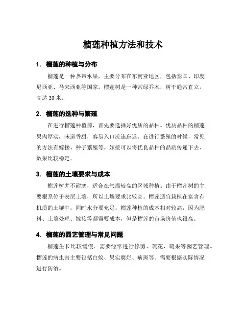 榴莲种植方法和技术