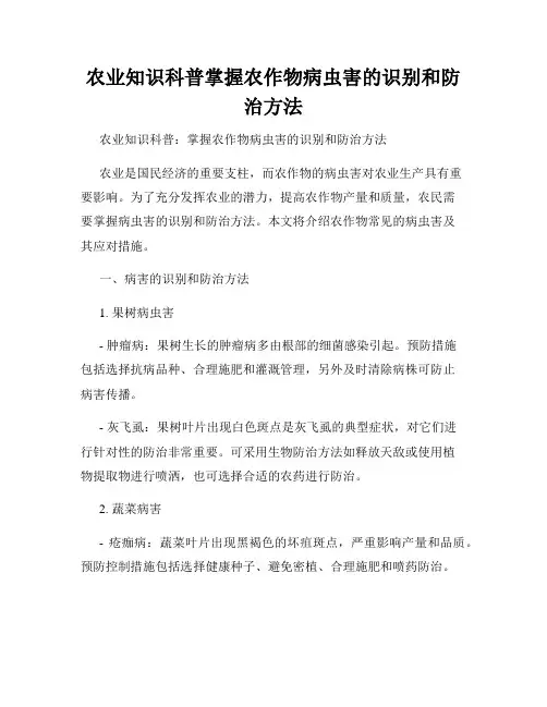 农业知识科普掌握农作物病虫害的识别和防治方法