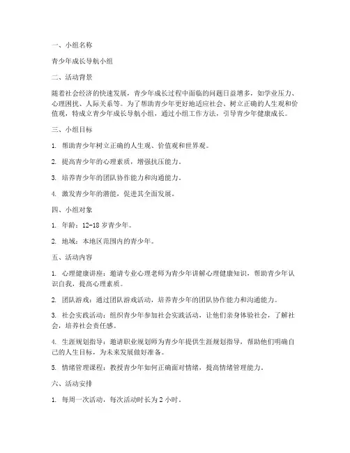 青少年管理小组工作计划书