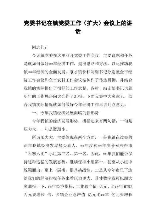 党委书记在镇党委工作(扩大)会议上的讲话