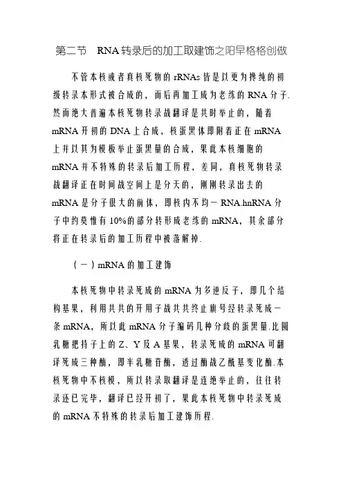 RNA转录后的加工与修饰