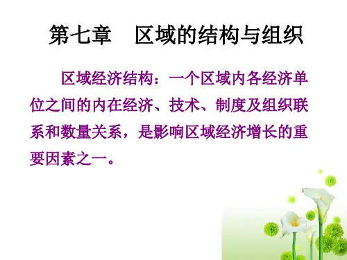 经济地理学第7章