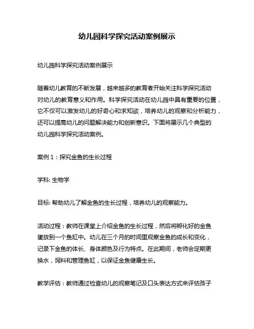 幼儿园科学探究活动案例展示