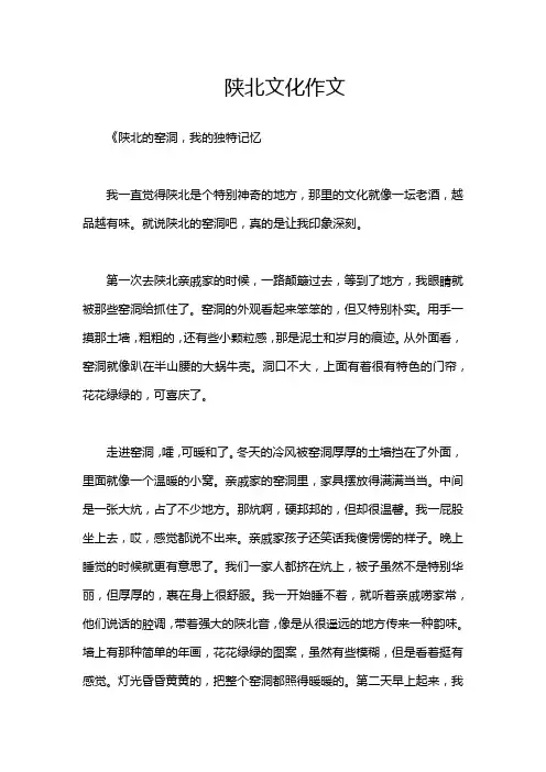 陕北文化作文