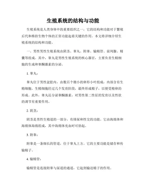 生殖系统的结构与功能