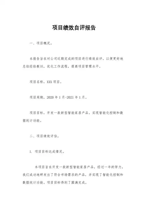 项目绩效自评报告