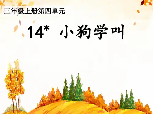 14 小狗学叫   课件(共25张PPT)