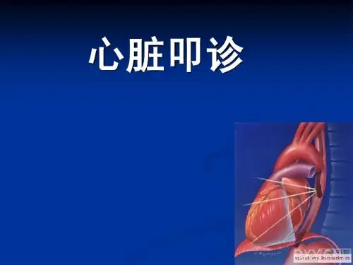 心脏视、触,叩、听 2