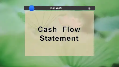 Cash  Flow Statement
