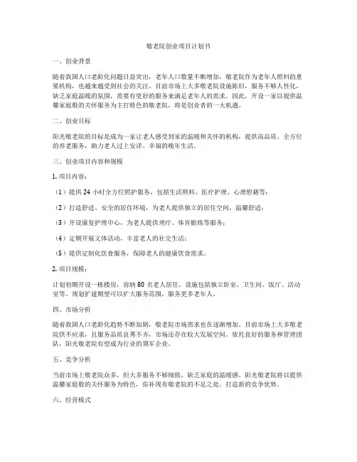 敬老院创业项目计划书