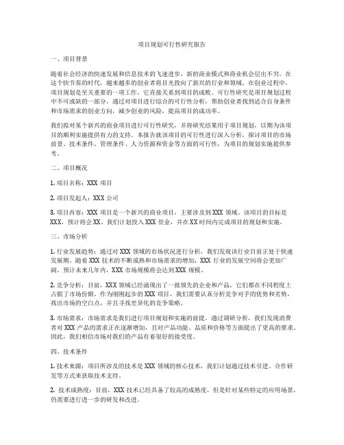 项目规划可行性研究报告