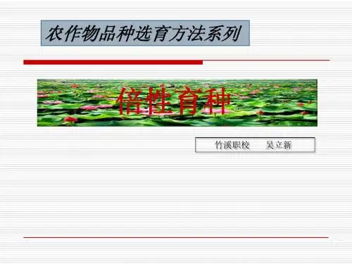 第8章_倍性育种
