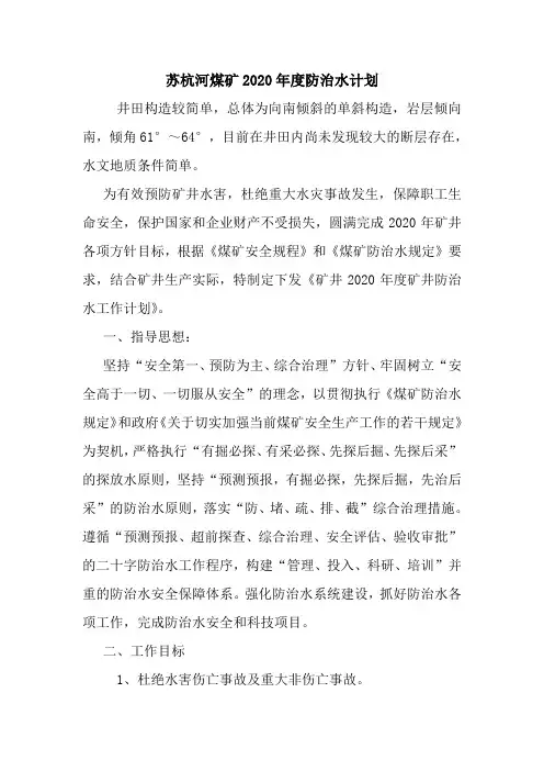 苏杭河煤矿2020年度防治水计划最新 总结 方案 模板 样本.doc