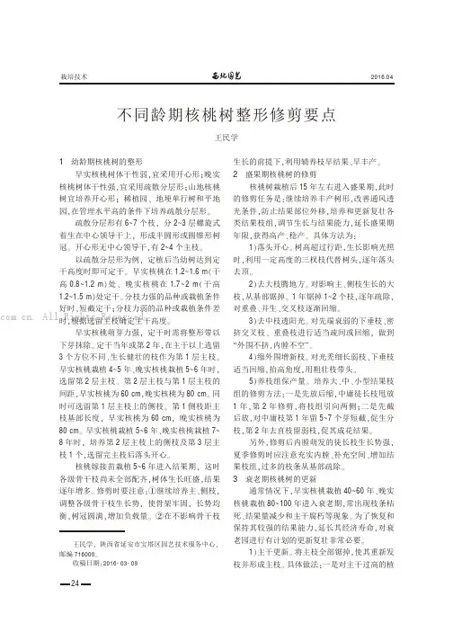 不同龄期核桃树整形修剪要点
