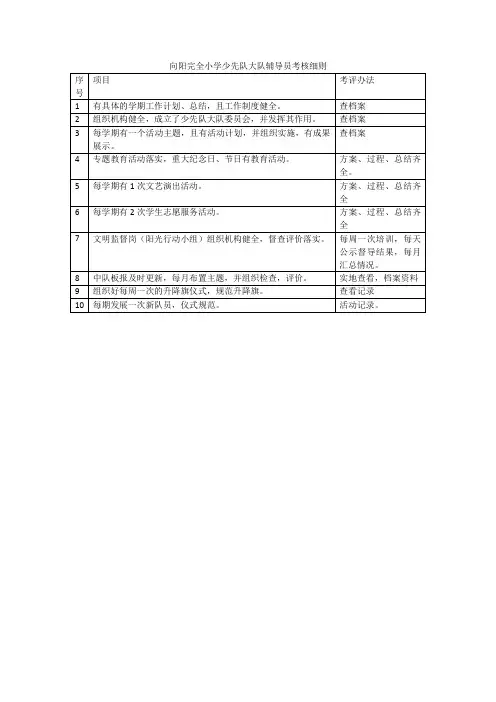 少先队大队辅导员考核细则