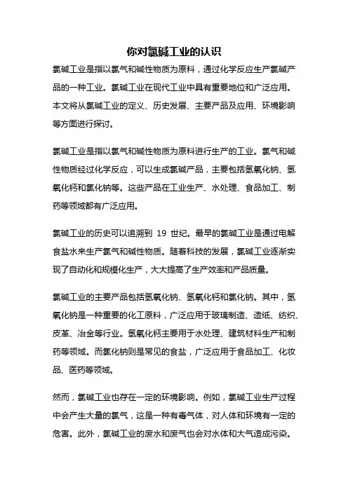 你对氯碱工业的认识