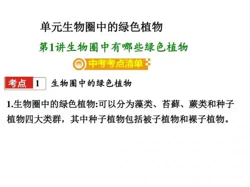 中考生物复习:生物圈中有哪些绿色植物ppt(2份)