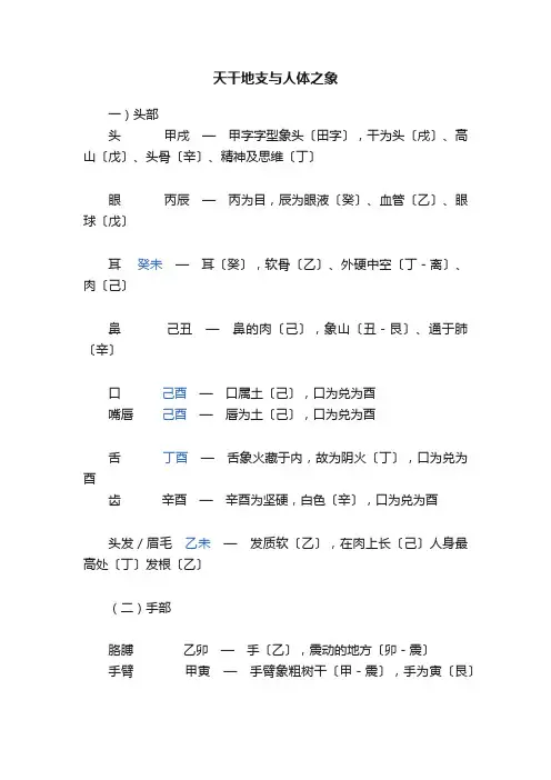 天干地支与人体之象