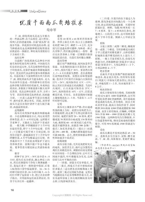 优质干面南瓜栽培技术
