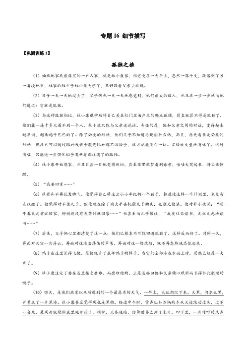 初中语文能力提升训练-16 细节描写(习题)(解析版)