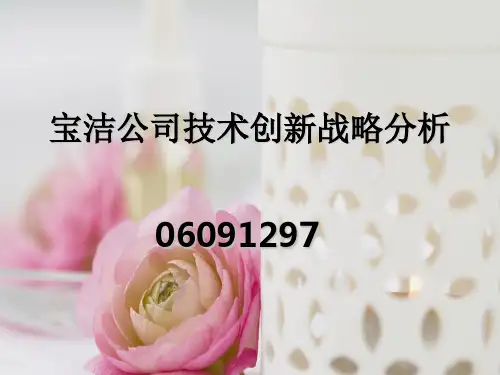 宝洁公司战略分析-市场细分战略