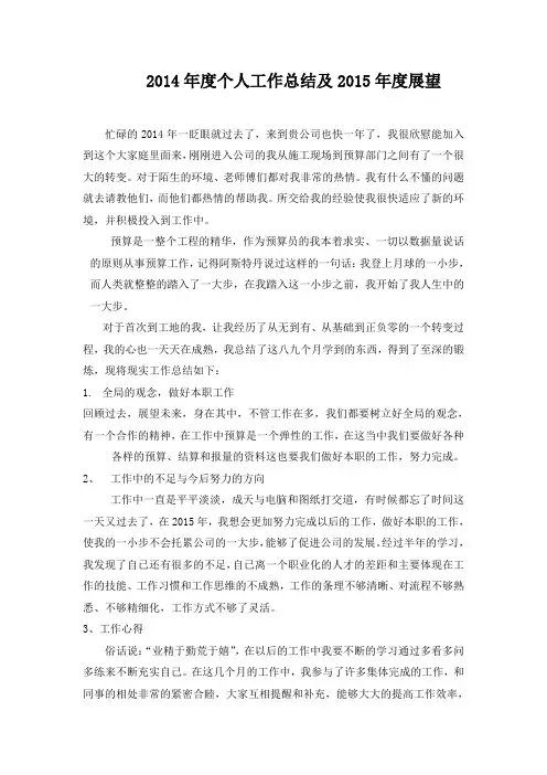 强力推荐 2014年度个人工作总结及2015年度展望