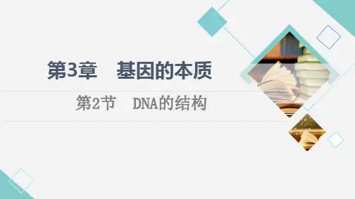 高中物理第3章 第2节 DNA的结构