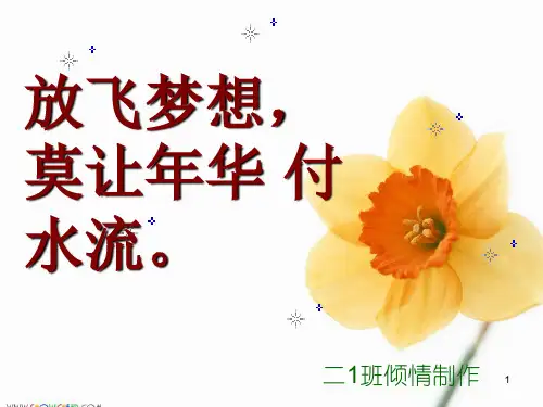 班会：梦想奋斗之莫让青春付水流幻灯片