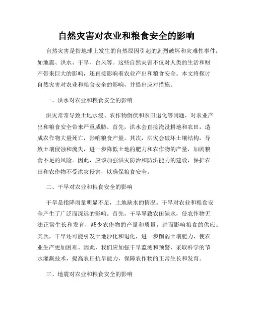 自然灾害对农业和粮食安全的影响