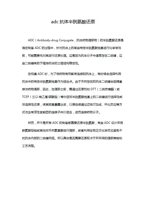 adc抗体半胱氨酸还原