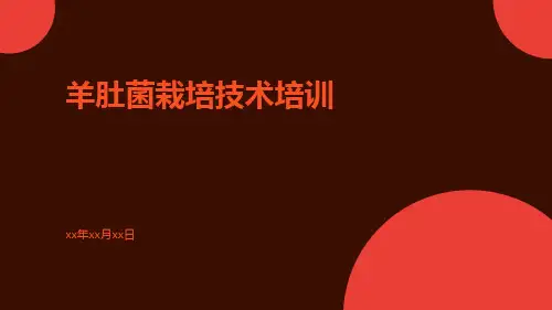 [羊肚菌栽培技术培训]羊肚菌栽培技术大全