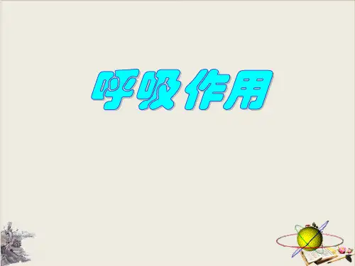 呼吸作用_PPT课件