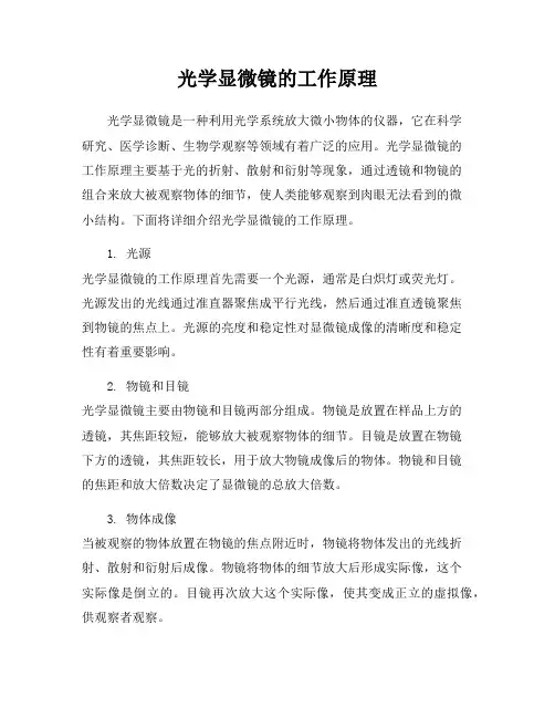 光学显微镜的工作原理
