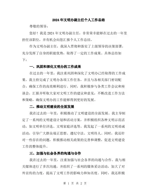 2024年文明办副主任个人工作总结