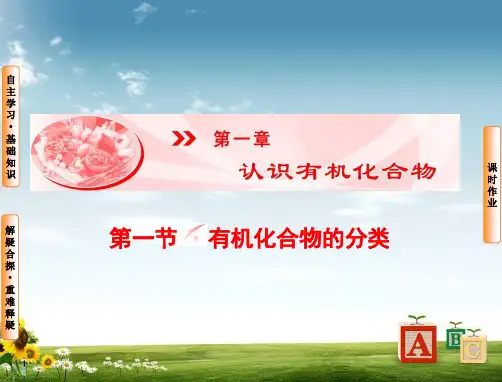 高中化学人教版选修五课件 第1章-第1节-有机化合物的分类