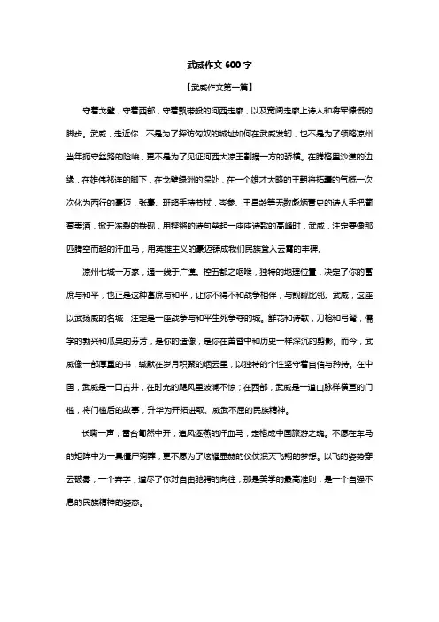 武威作文600字