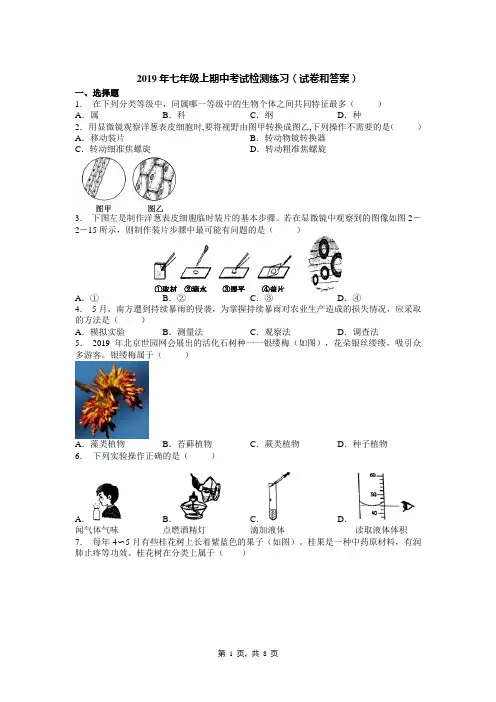 2019年七年级上期中考试检测练习(试卷和答案)