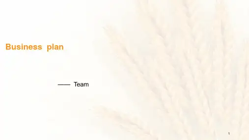 Business  plan 商业企划书(英文版)