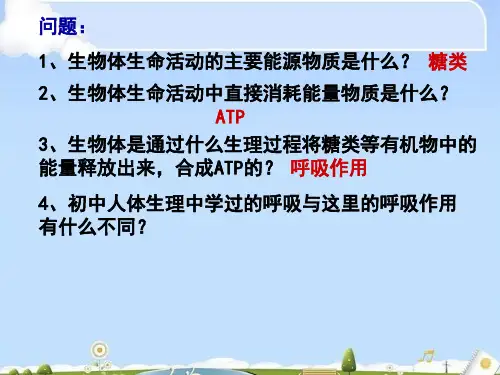 人教版高中生物必修一复习课件：5.3 细胞呼吸(共21张PPT)