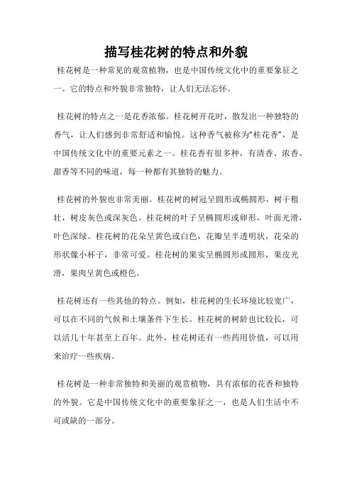 描写桂花树的特点和外貌