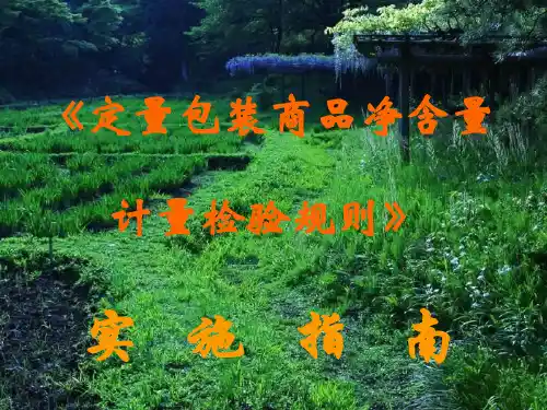 定量包装商品净含量计量检验规则实施指南-313页PPT精品文档