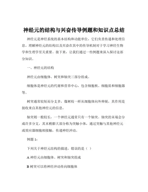神经元的结构与兴奋传导例题和知识点总结