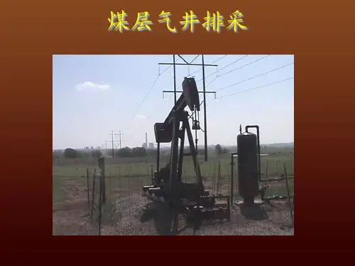 煤层气排采
