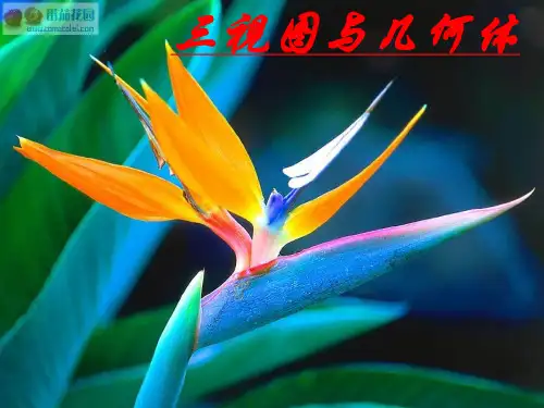 制作立体模型(实物与三视图)
