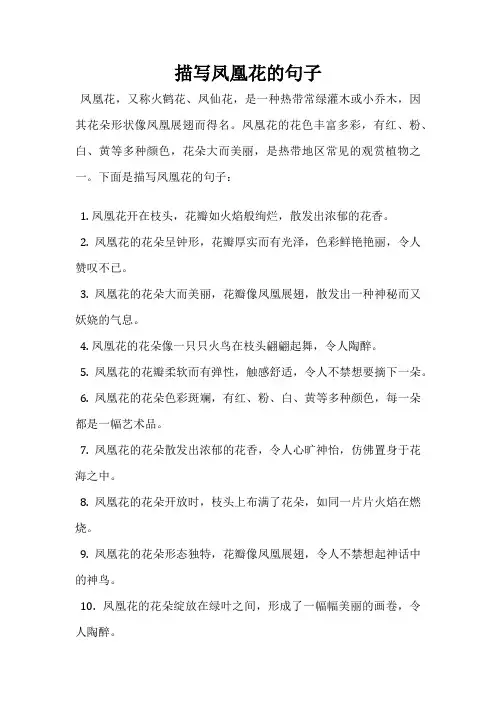 描写凤凰花的句子