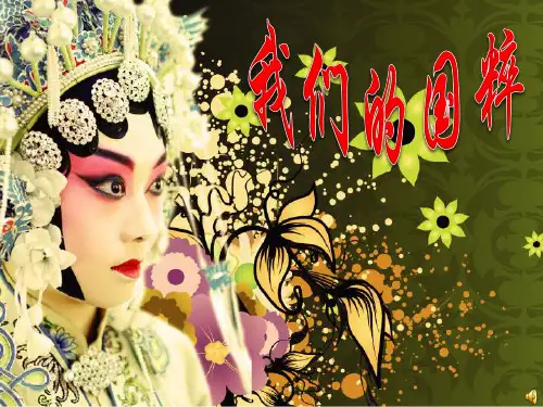 道德与法治精品课件——我们的国粹