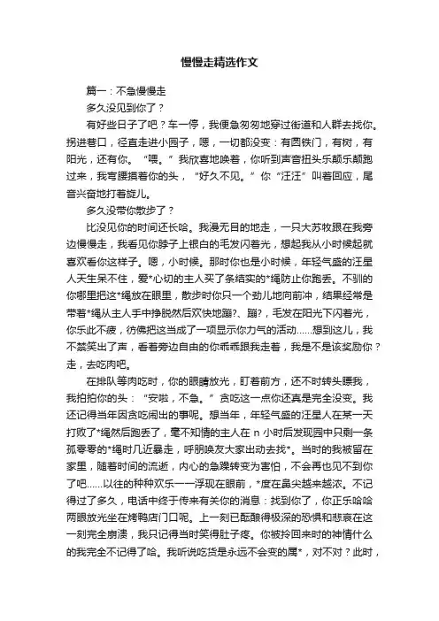 慢慢走精选作文