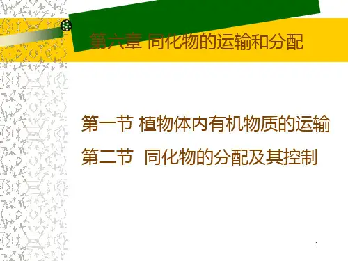 同化物的运输和分配