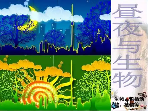 四年级科学上册第16课昼夜与生物行为 PPT精品课件3冀教版