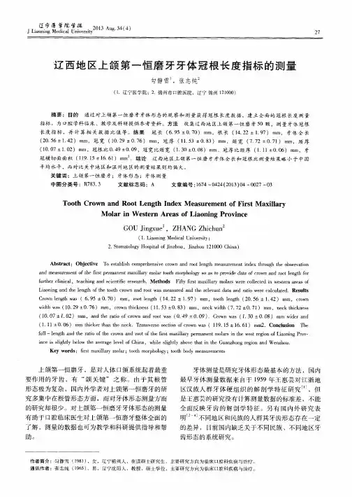 辽西地区上颌第一恒磨牙牙体冠根长度指标的测量
